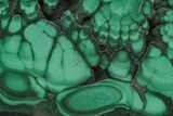 Polished Malachite Slab - Congo #211808-1